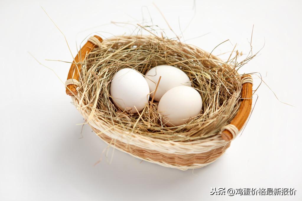 今日全国鸡蛋价格行情走势分析与论述