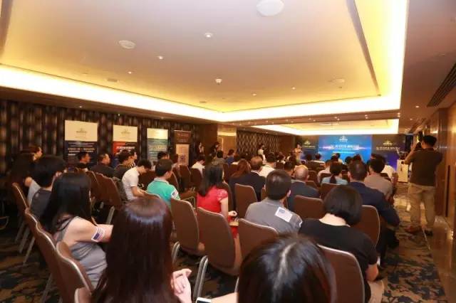 泰pinky 2016最新动态揭秘,时尚与创意艺术的交融魅力