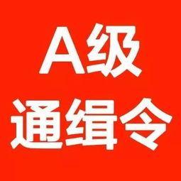 最新网上通缉犯名单,变化的力量与自我救赎的奇迹之路