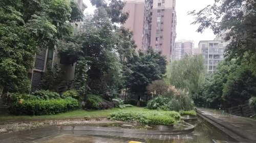 新都莱茵北郡最新房价,家的温馨日常概览