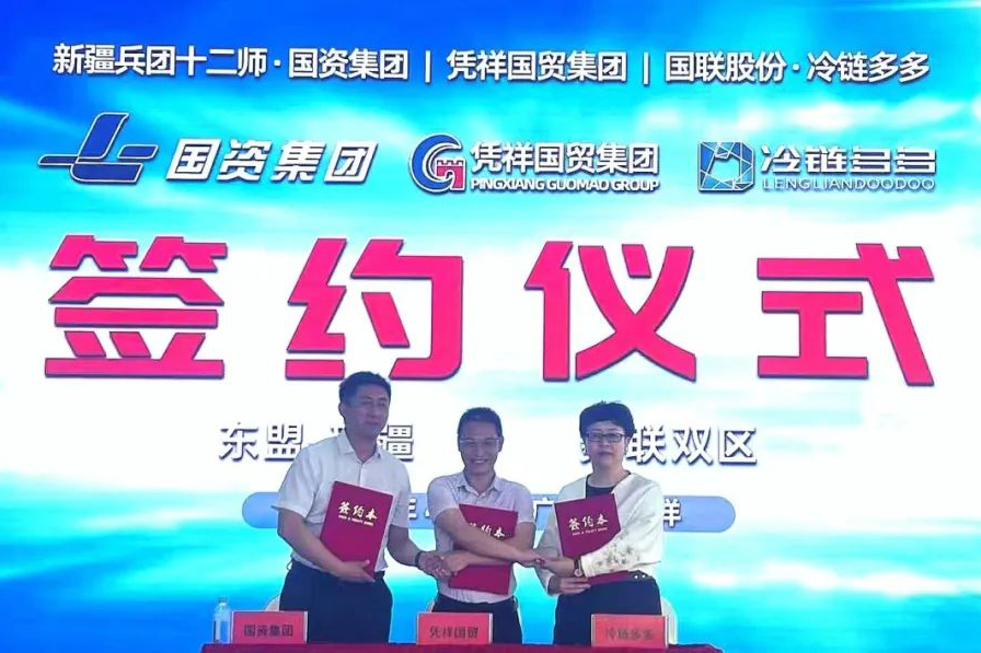 新疆其亚最新招聘信息及其背后的故事揭秘