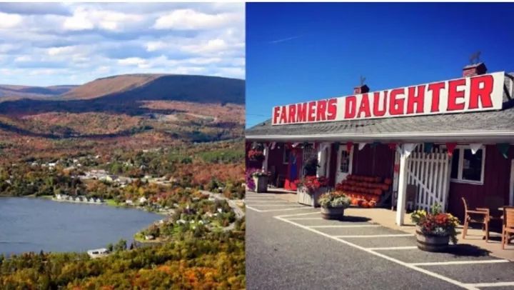 萧山义桥中泰最新招工,萧山义桥中泰最新招工信息,开启你的职业新篇章!