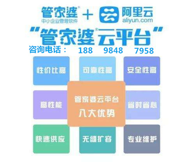 7777788888精准管家婆凤凰网,现象分析定义_VXD23.953极致版
