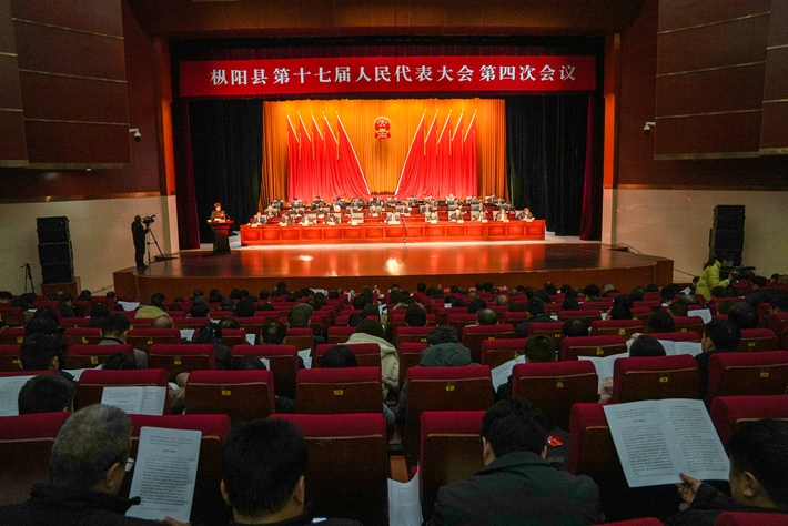 枞阳在线，小城温馨日常的最新消息与新闻汇总