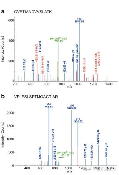 7777788888奧门王,科学分析解释说明_VAY23.803并行版