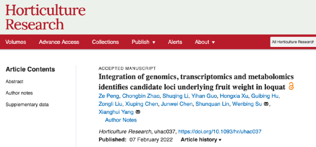 澳门六合资料,数据整合解析计划_FHY23.222文化版