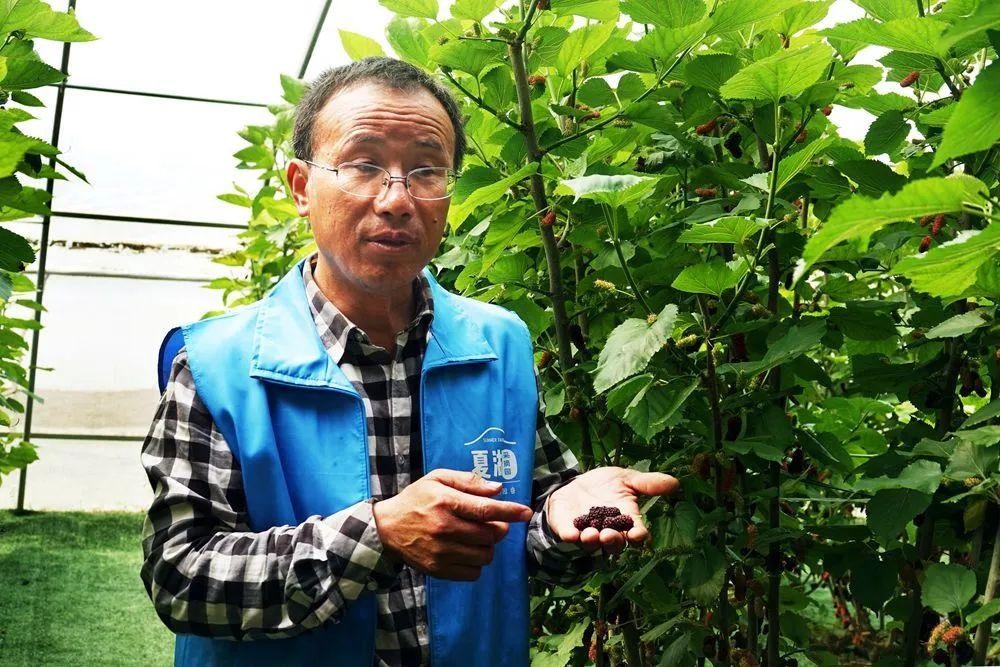 江宁区铜山镇最新规划步骤详解与指南