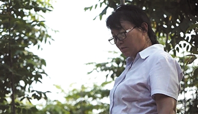 阜阳杀人案最新动态,探寻背后的故事,逃离喧嚣寻找心灵绿洲