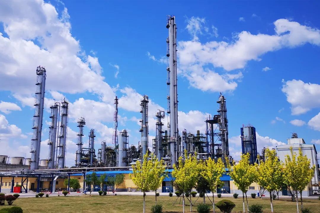 辽阳环保新闻最新动态，绿色变革中的自信与成就感