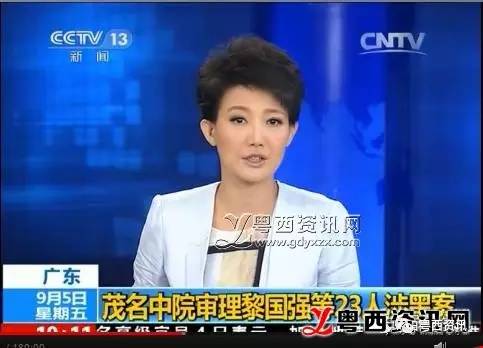 电白黎国强最新动态，小巷深处的独特风味探秘