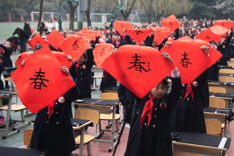 成都公车拍卖最新动态与探索自然美景之旅，重拾内心宁静的旅程