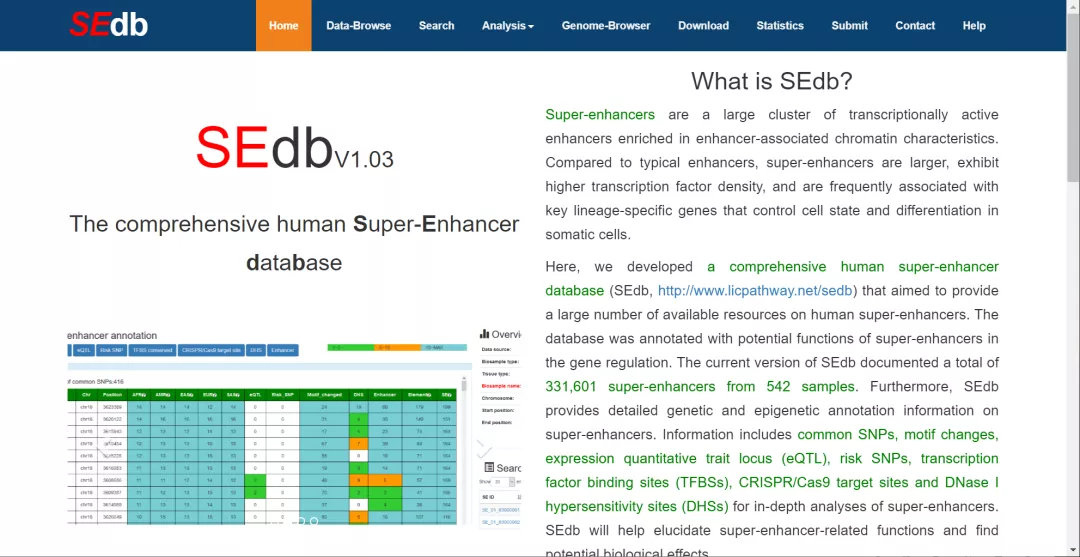 52651cσm查询澳彩开奖记录,数据导向程序解析_KNT79.680增强版