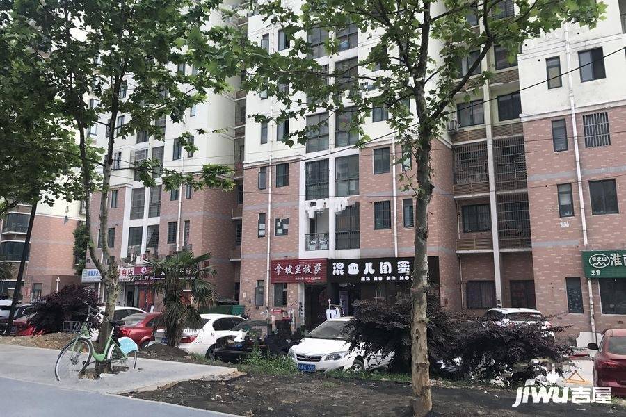 合肥铜冠花园最新房价揭秘,小巷深处的隐藏宝藏与独特风情