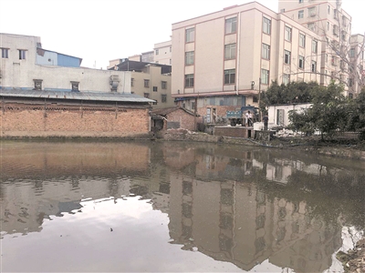 花都狮岭镇最新动态，学习变革春风，成就自信与繁荣之花