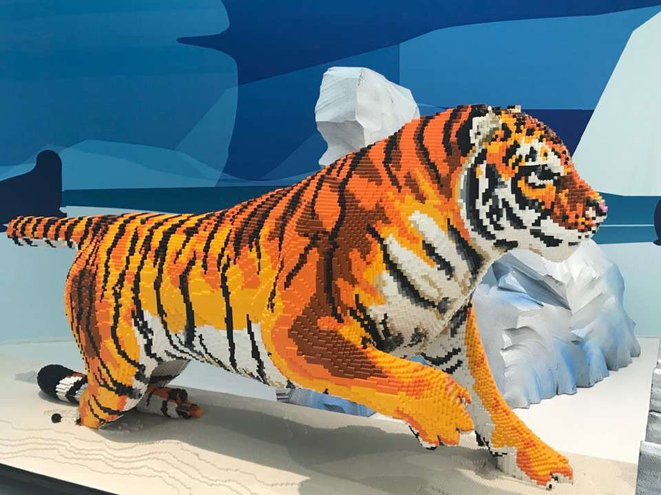 2024年白老虎正版资料,数据解析引导_ACP79.908超级版