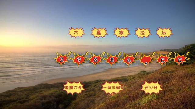 2024澳门天天彩免费正版资料,专家解说解释定义_CIG79.781L版