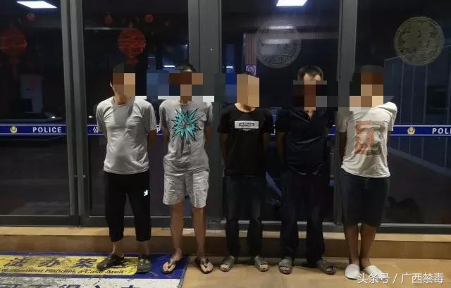 拉堡房屋出租最新消息，全面更新房源信息