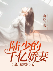 娇妻倾城,引人入胜新篇章,期待中的爱情故事目录揭秘