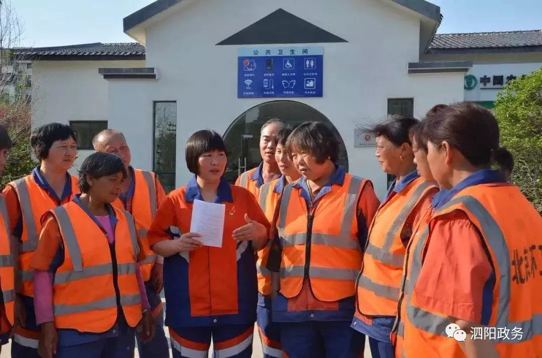 泗阳苗杰的最新日常故事及最新消息概述