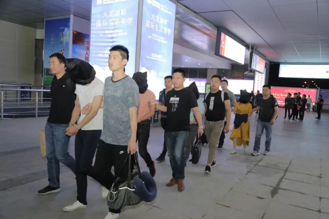 泗阳苗杰的最新日常故事及最新消息概述