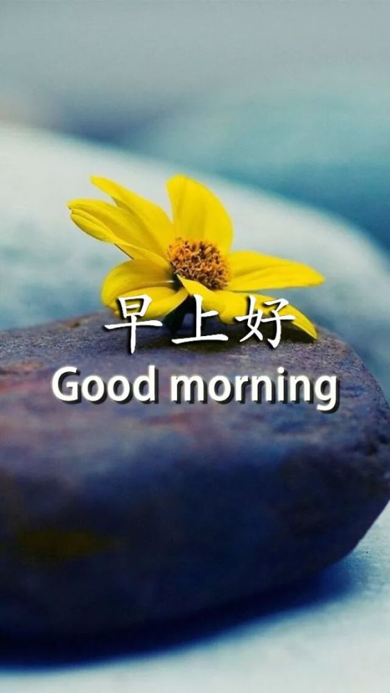 最新人生感悟经典句子，2014年精选分享