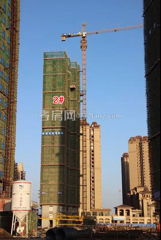 全球最新动态解析，楚霖鼎观世界，时代洞察的视野