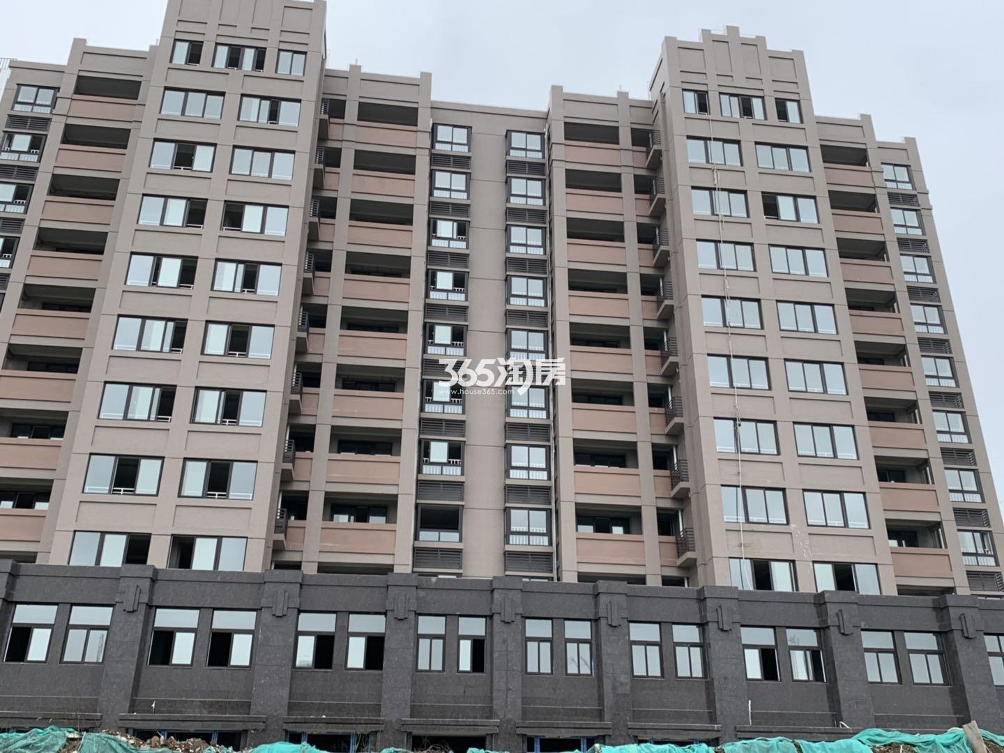 南郊华都最新动态更新