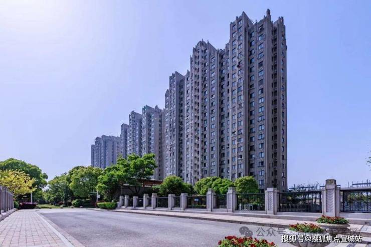 南郊华都最新动态更新