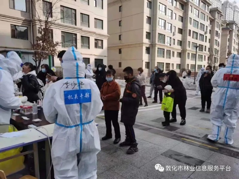 敦化疫情最新动态及花讯更新🌸📢