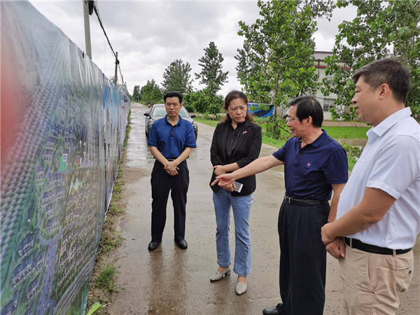 淮安顾晓芳,拥抱自然,心灵宁静之旅的最新动态