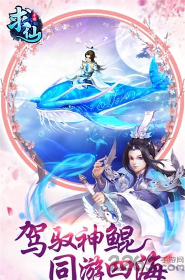 小巷神秘特色小店,最新求仙体验指南