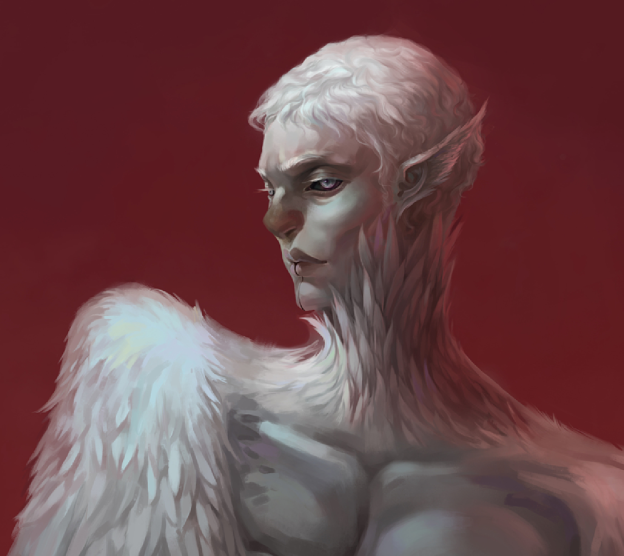 鸟人最新技能步骤指南,掌握鸟类观察与记录的艺术