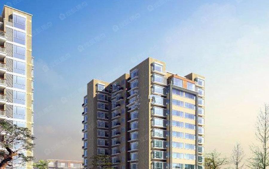 新新最新观点阐述