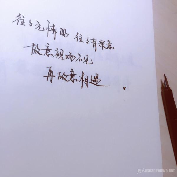 变化中的学习,自信与成就感的旅程煽情最新篇章