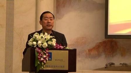 湖北最新政策消息解读,观点与论述汇总