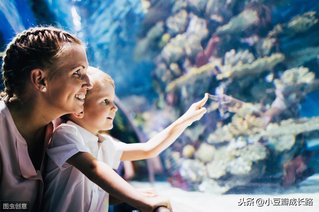 最新疫情动态,变化中的学习之路与自信成就的力量