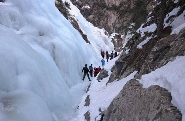 素野最新动态,追溯背景,探寻时代独特地位