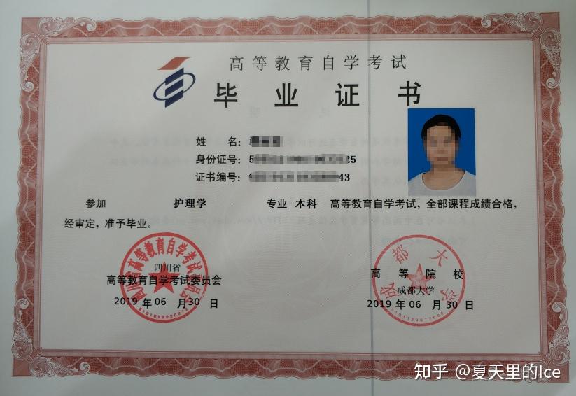 最新大专，开启人生新篇章的钥匙🎓