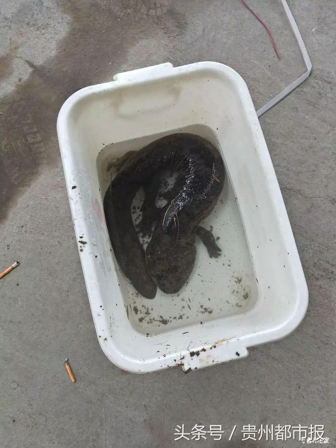 不锈钢锥形旗杆 第33页