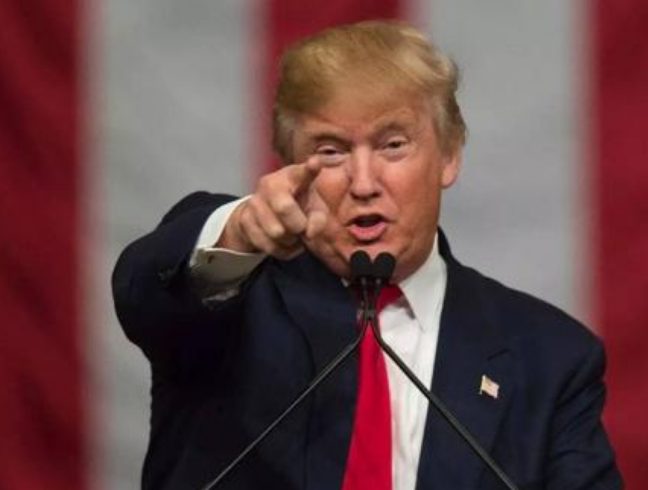 特朗普最新动态与小巷中的隐秘瑰宝