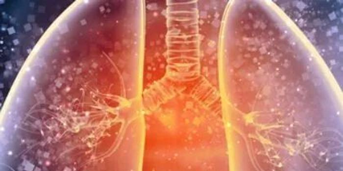 最新型肺炎病毒,理解、应对与防护全攻略