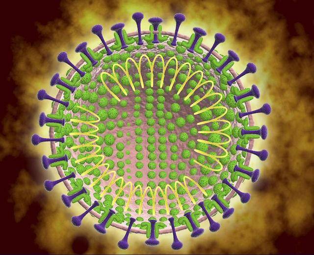 最新型肺炎病毒,理解、应对与防护全攻略