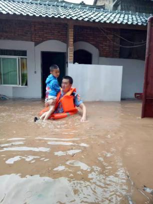 暴雨伤亡最新深度解析与报告