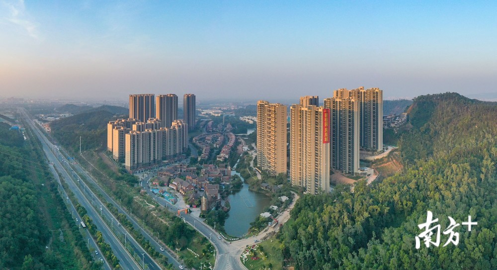 板芙小巷深处的惊喜,最新发展下的隐藏特色小店