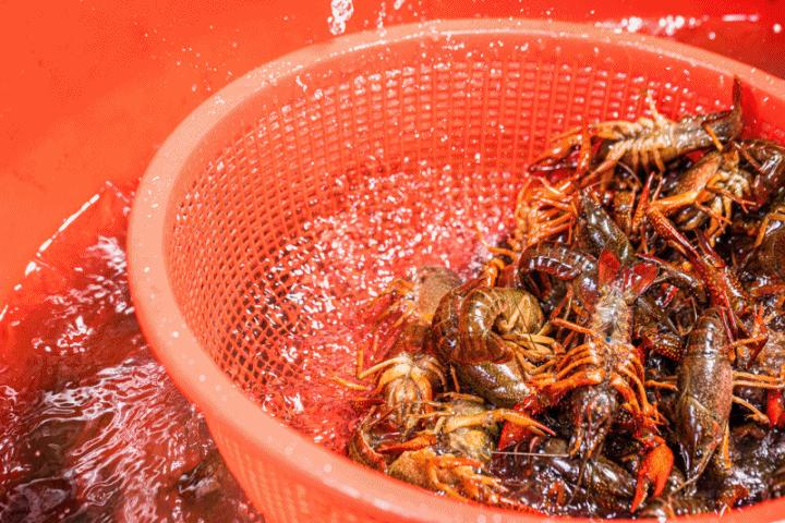 不锈钢锥形旗杆 第12页