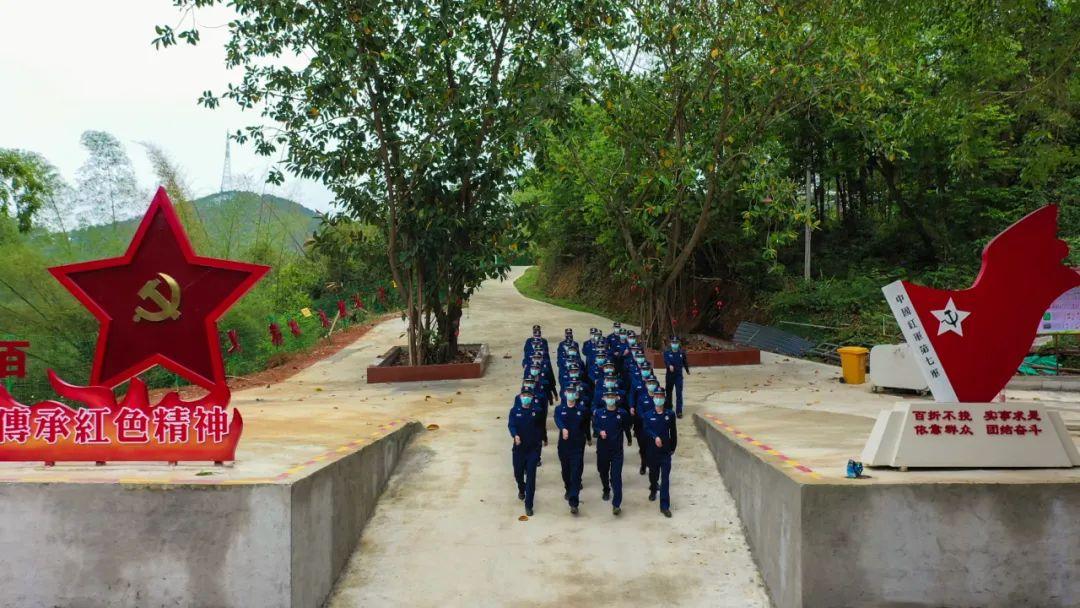 森林警察改革最新动态及步骤指南