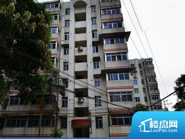 魏县美康小区最新房价动态,变化中的学习与自信力量影响房价走势