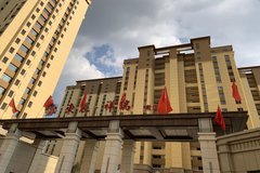 东辰祥瑞最新消息获取指南，最新动态一网打尽