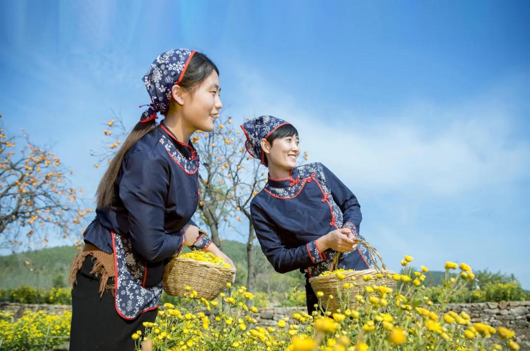 费县最新招聘信息大揭秘!