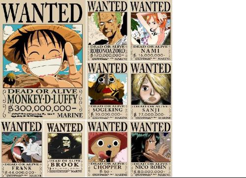 学习、变化与自信的奇妙旅程,赏金最新动态揭秘